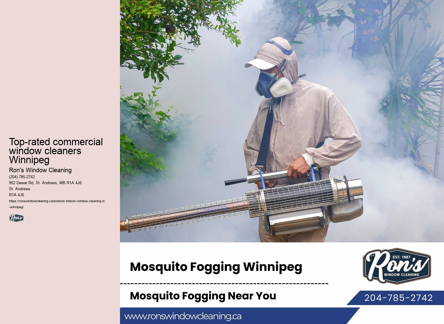 Window cleaning professionals near me Winnipeg