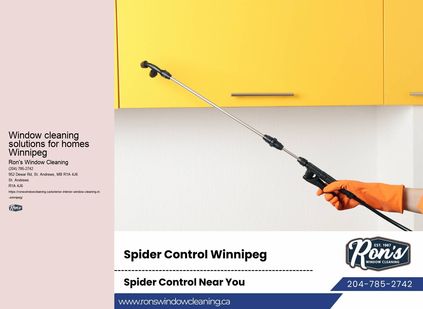 Experienced squeegee window cleaners