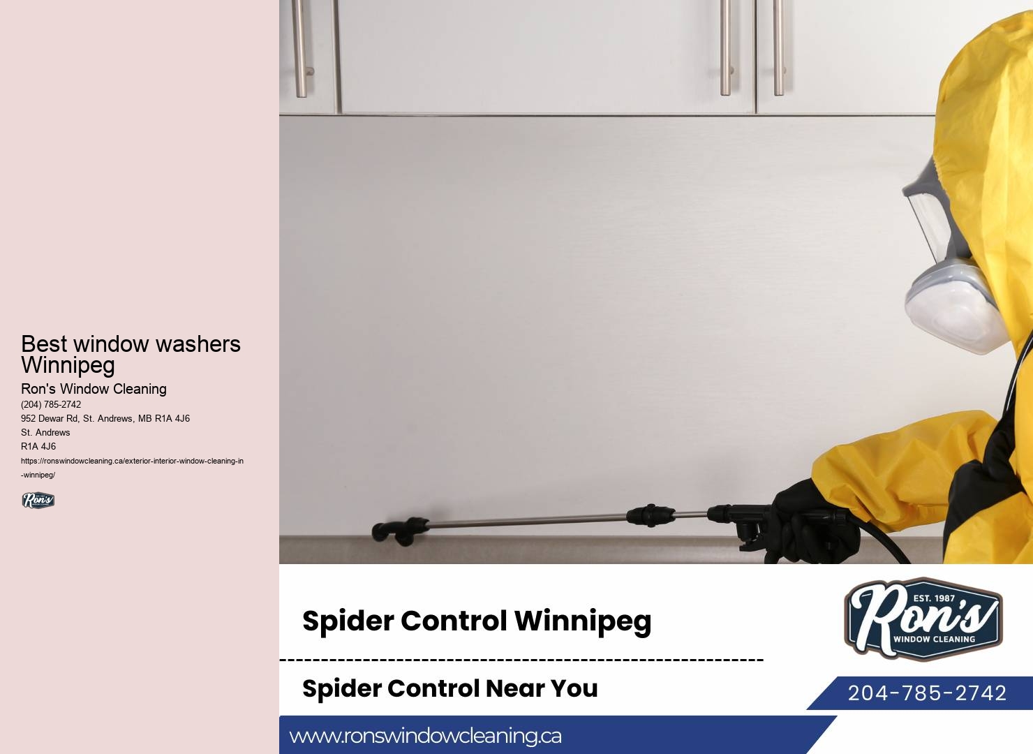 Winnipeg window care specialists