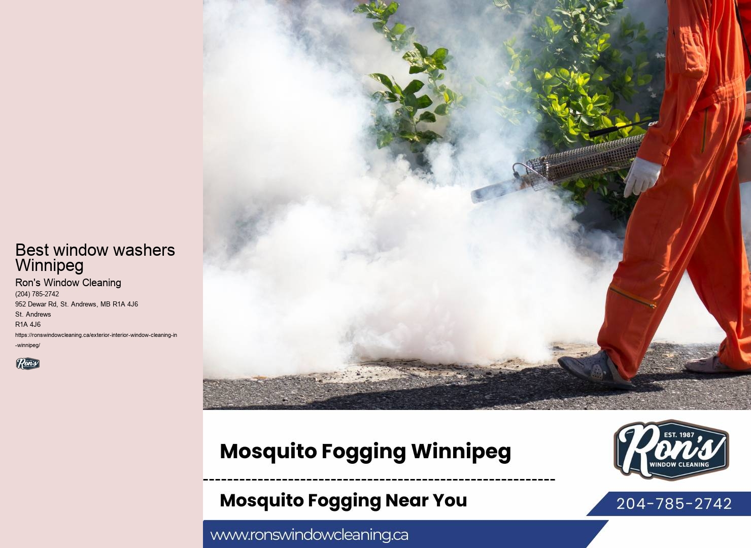 Window cleaning safety Winnipeg