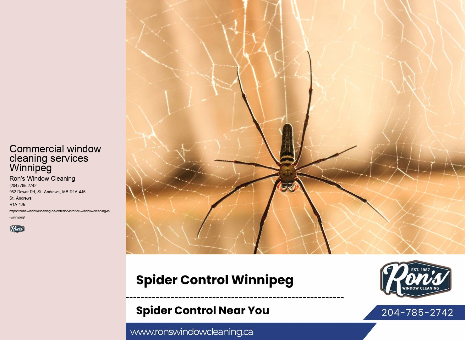 Window cleaning service offers Winnipeg