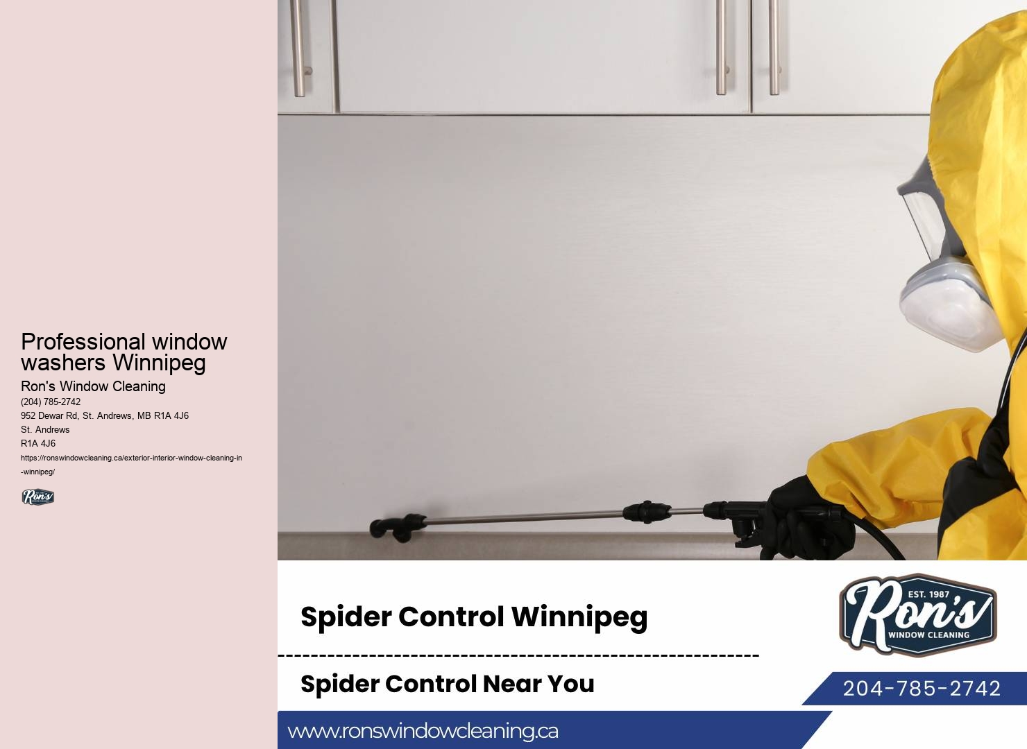 Window washing Winnipeg