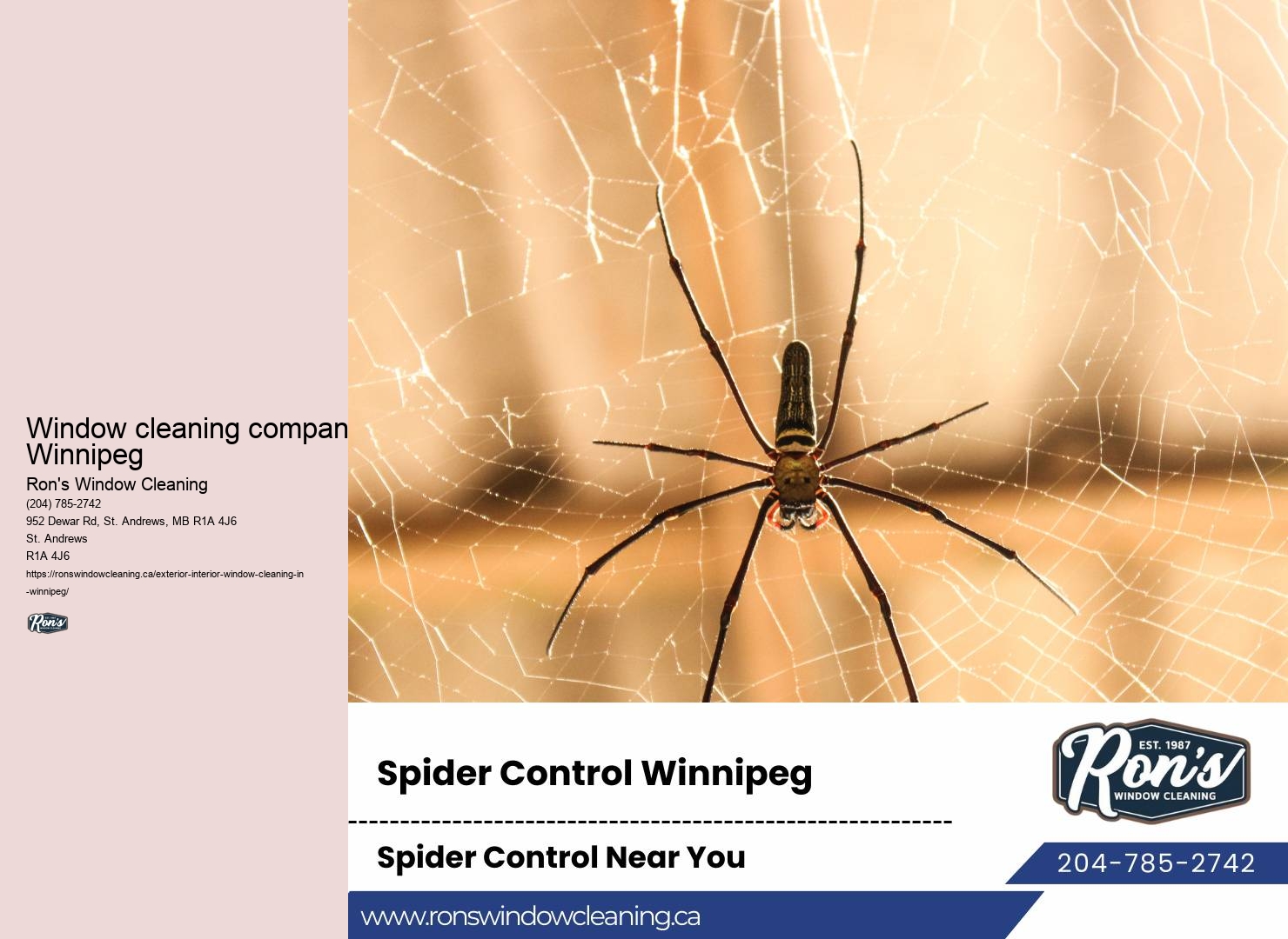 Winnipeg home window cleaning