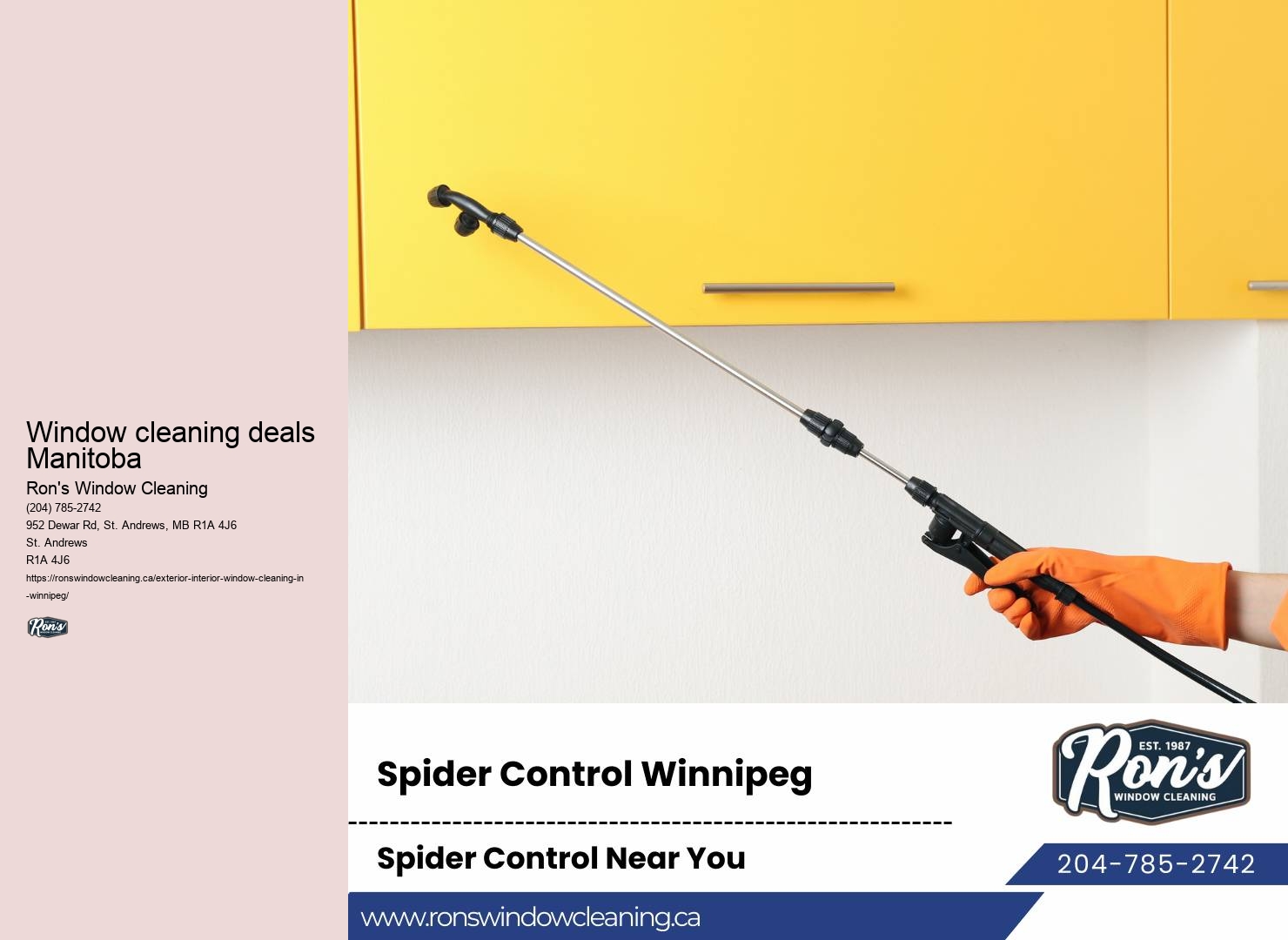Window washing Winnipeg reviews