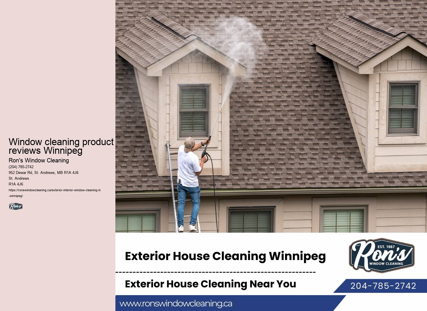 Professional window maintenance