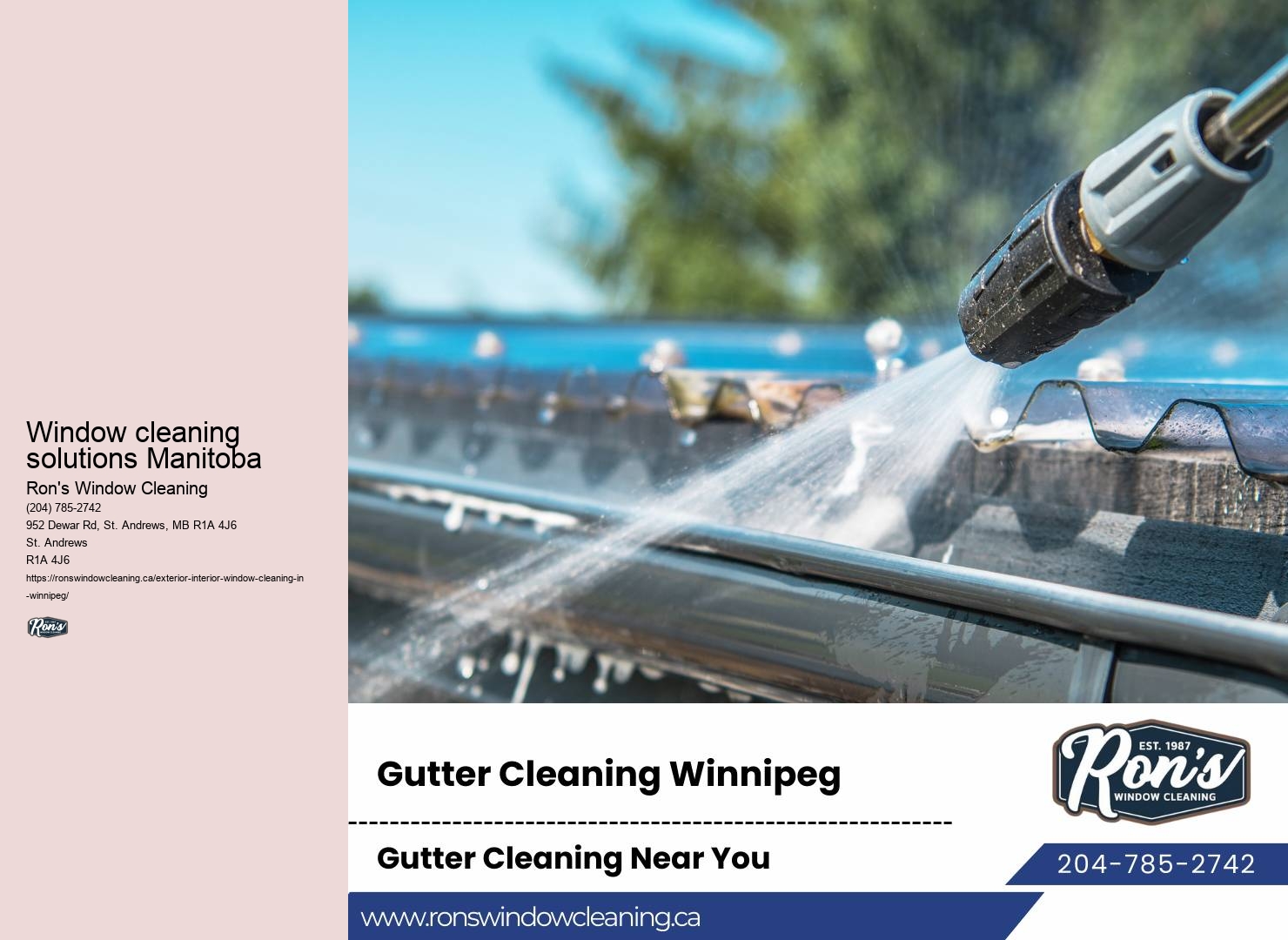 Window screen cleaning services